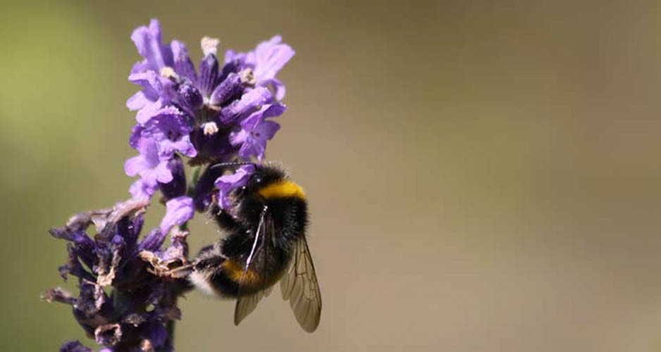 individueel coaching traject