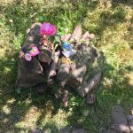 Jaartraining Sjamanistisch Systemisch werk